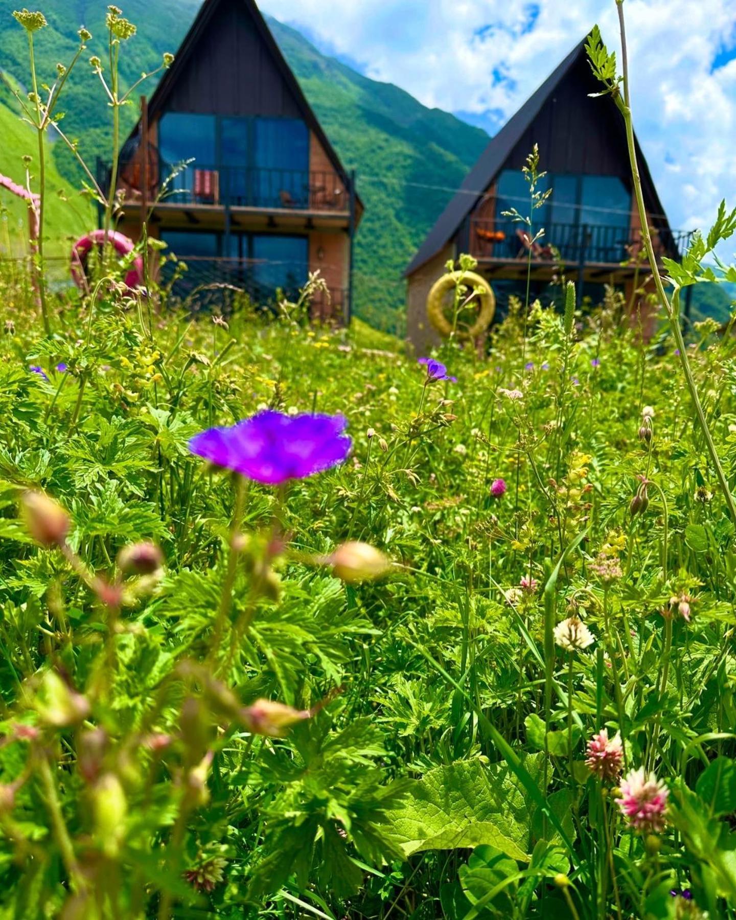 Royal Cottages Kazbegi Exterior foto